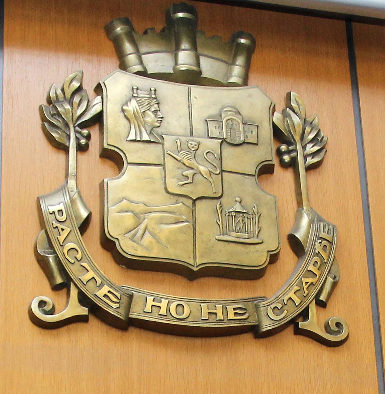  Софийска община 